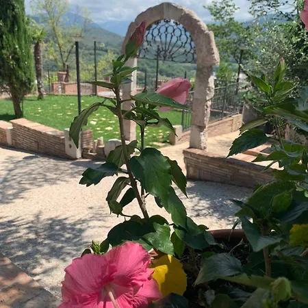 Il Colle Di Torre Orsina